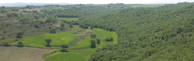 ruta del "Monte del Concejo"