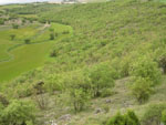 Monte del concejo